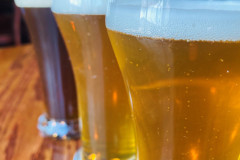 line-of-half-pints
